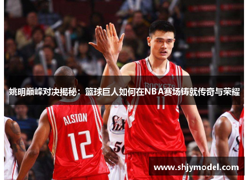 姚明巅峰对决揭秘：篮球巨人如何在NBA赛场铸就传奇与荣耀