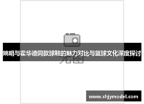 姚明与霍华德同款球鞋的魅力对比与篮球文化深度探讨